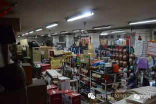 桃花綻放迎客來，秦人村落笑聲多——互聯網創新為鄉村旅鋪就“云端”致富路